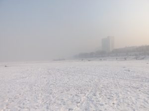 DSCF5439